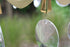 products/57_67d24fe2-e88c-492f-8d61-0746c10f7eed.jpg
