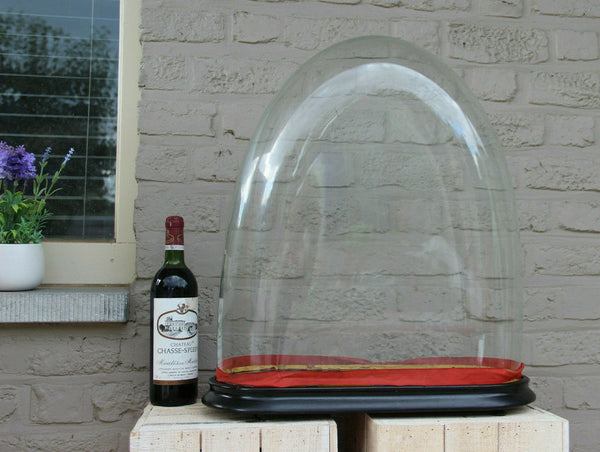 Majestical Glass hand blown antique French dome globe oval taxidermy clock