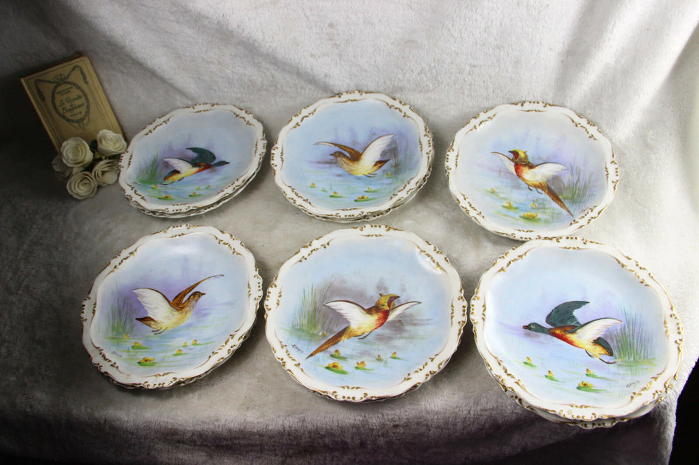 Set 12 French limoges marked porcelain bird pheasant dinner plate signed
