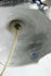 products/57_6f4e8222-1bf8-4dfb-ae07-ab02bd9d8f1a.jpg