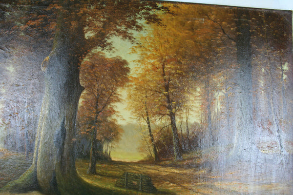 Oil on Canvas Flemish Dutch AUTUMN forest woods   1960's   31.5x23.6