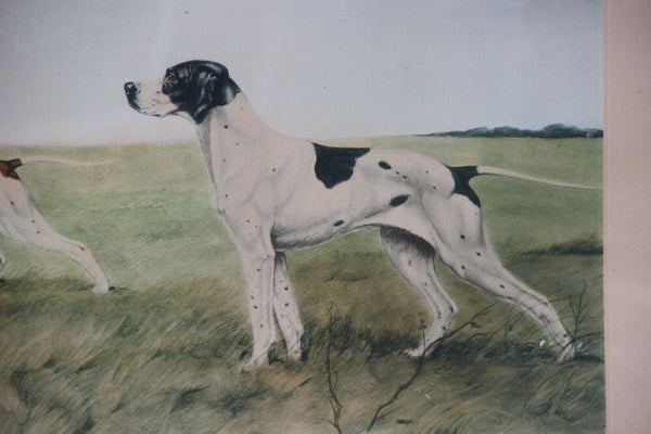 LEON DANCHIN Coloured signed Engraving framed hunting dog setters field