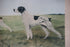 products/57_724bd6de-f74c-442f-a53b-fa59454b8570.jpg