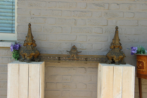 French antique bronze Fireplace andirons Set Lions gothic castle theme 19th c