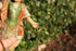 products/57_748ba06e-ceb0-416b-9a3a-82e1966ff4e1.jpg