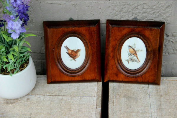 PAIR vintage French limoges porcelain medaillon plaques birds framed