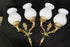 PAIR French Empire white louis XV glass shades Bronze swan wall lights sconces