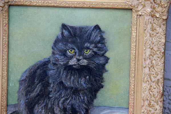 Gorgeous Flemish Oil panel painting of kitten cat portrait signed