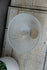 products/57_7f750586-bbe8-4f50-8354-8ca5fff8d349.jpg