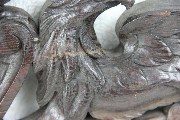 Antique large French pediment fronton wood carved gothic phenix dragon birds