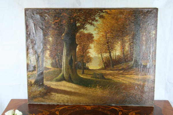 Oil on Canvas Flemish Dutch AUTUMN forest woods   1960's   31.5x23.6