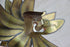 products/57_87036bd4-e531-4656-81ba-9291ad41c13e.jpg