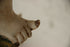 products/57_888c889e-1cb7-4ecb-a73e-b3ed4e7adf7c.jpg