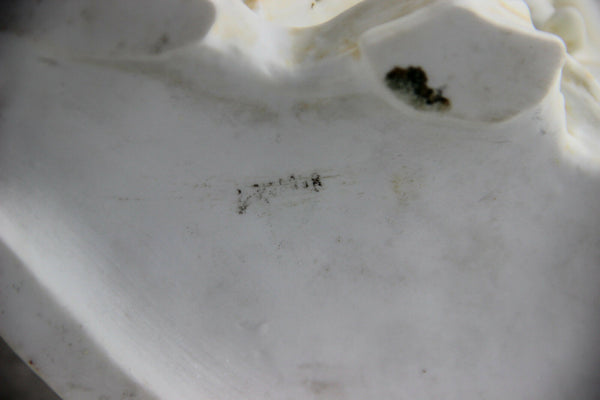 RARE 1900 French Bisque porcelain hunting set of 3 Vases lion panther scenes