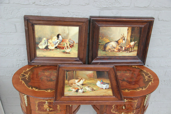 Set 3 Antique French oil panel animal farm chicken goat rabbit  painting signed