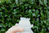 products/57_92ea87dc-d085-4120-b9bb-b19b3d4ffcae.jpg