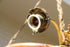 products/57_9be7b2ec-3508-4437-8a84-b417b991e082.jpg