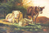 products/57_9efcf80d-70aa-4dee-a924-7428b5df8618.jpg