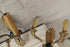 products/57_9f5da8bf-5955-4c28-a1e9-057037f10e2e.jpg