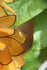 products/57_a06b2998-91cb-4d1e-89a0-5a9b3f6477b9.jpg