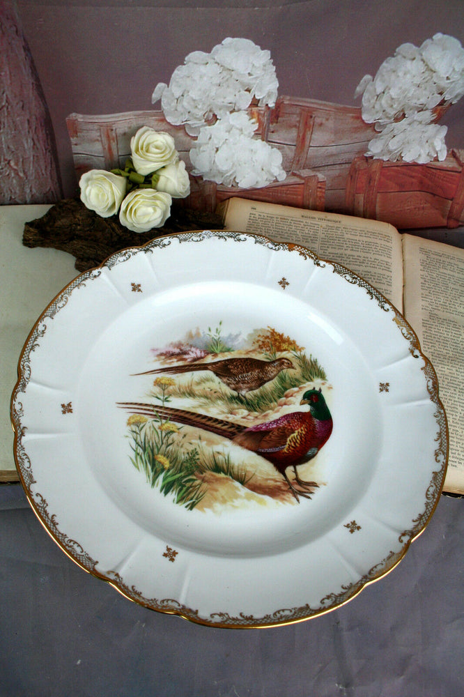 Vintage XL CHADELAUD LIMOGES porcelain marked plate pheasant hunting