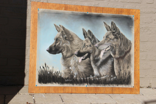 French PASTEL german sheperd dog  painting 1972 Vintage signed