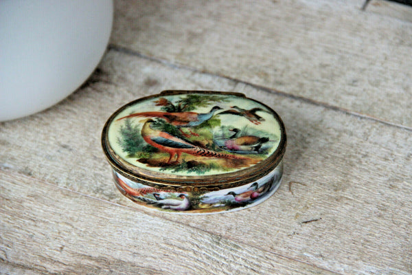 Rare Antique German 18thc porcelain Tabatiere snuff box birds chicken victorian