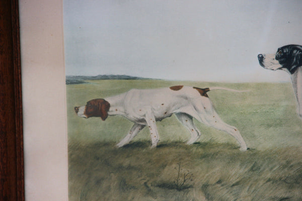 LEON DANCHIN Coloured signed Engraving framed hunting dog setters field