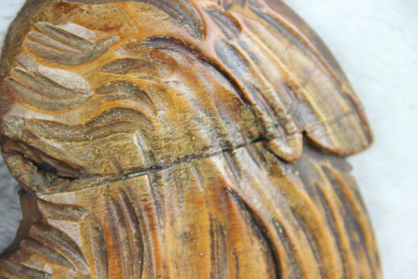 Large Antique French Wood carved dragon gothic head mirror sickle Attr. VIARDOT