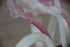 products/57_a8639cd6-5188-4bc3-b160-7ea5e2633392.jpg