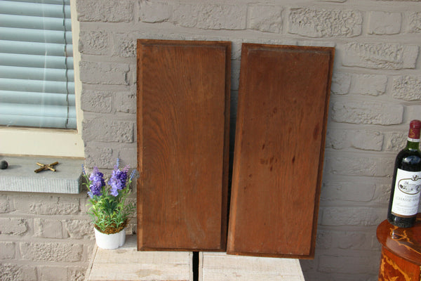 Antique French pair breton wood carved cabinet panels