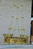 products/57_aa131ee4-2cbe-49dd-9890-852db991dcbd.jpg