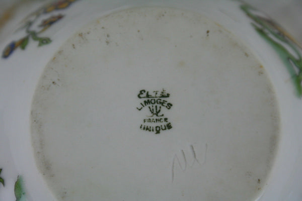 Antique FRENCH LIMOGES signed Birds bowl porcelain