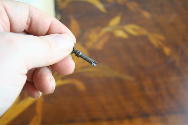 French Wood carved Box black forest With pair old gloves opera 1900