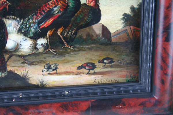 ALBERTUS VERHOESEN Dutch listed artist oil copper peacock chicken painting