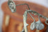 products/57_c5e588fd-5250-4aad-86c1-51d603d6af3e.jpg