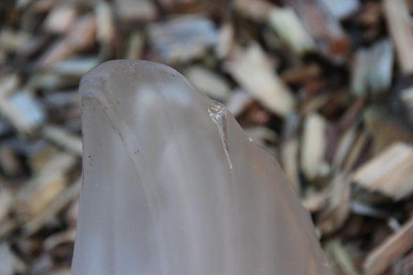 French art deco 6 Glass frost Shells brass metal Chandelier pendant