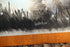 products/57_c7bb1f79-f1e8-42bf-b51d-fab8494b23ab.jpg