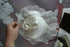 products/57_c84dbb22-83a6-4594-a94f-36cbb4d5f44b.jpg