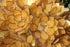 products/57_c8e08458-87da-442c-94ec-72501270c506.jpg