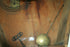 products/57_c92aa5ba-b450-4f67-8cc0-271186fe24dd.jpg
