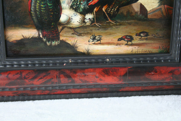 ALBERTUS VERHOESEN Dutch listed artist oil copper peacock chicken painting