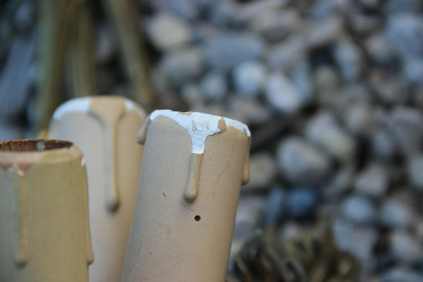 Set of 3 French antique empire Swan Flame Wall lights sconces