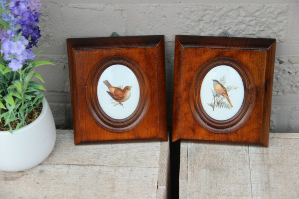 PAIR vintage French limoges porcelain medaillon plaques birds framed