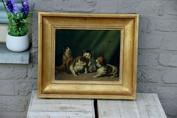 Vintage flemish Cats Kittens oil painting 1970s