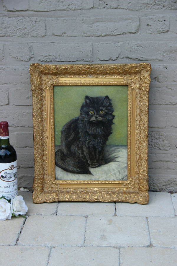 Gorgeous Flemish Oil panel painting of kitten cat portrait signed