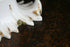 products/57_cf78a1c4-687d-4ebd-bbf1-f3125011a092.jpg