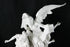 products/57_d536b487-0fde-4825-b658-ab7fdf1b459c.jpg