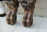 products/57_dabe3a8d-f8b4-4166-a766-0c4de35c4535.jpg