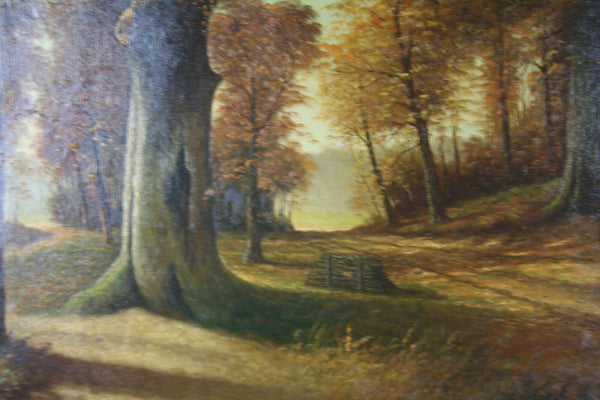 Oil on Canvas Flemish Dutch AUTUMN forest woods   1960's   31.5x23.6